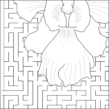 colouring maze detail