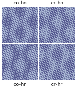 coordinating set of four dotgrid patterns